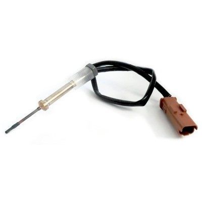 sonde e température des Gaz peugeot citroen